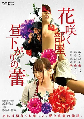 南方来信 经典文艺片